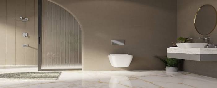 Toilet Installation